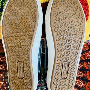 Coach snake or shoes size 6